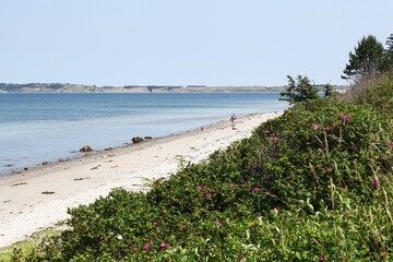 Coastal landscape on the island of Tuno in Denmark