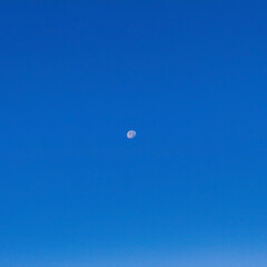 Landscapes, Forest, Carpathians, Photos of nature - Europe, Eastern Europe