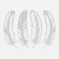 Fototapeta premium Four white feathers