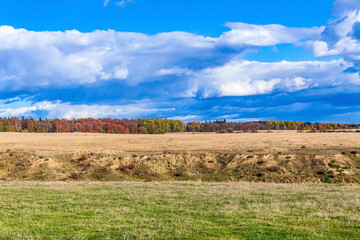 Landscapes, Forest, Carpathians, Photos of nature - Europe, Eastern Europe