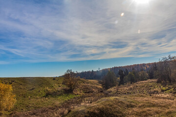 Landscapes, Forest, Carpathians, Photos of nature - Europe, Eastern Europe