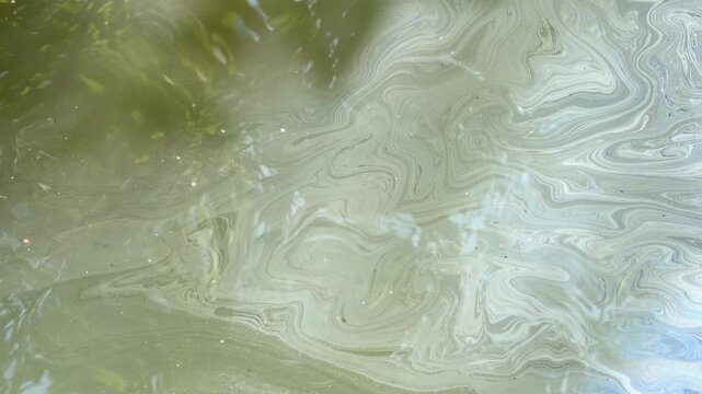 Iridescent Oil Film and Chemical Contamination Floating on a Water Surface