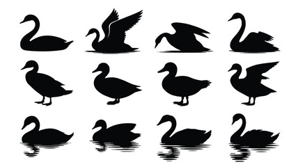 A set of 12 black and white silhouette illustrations of waterfowl arranged in three rows 