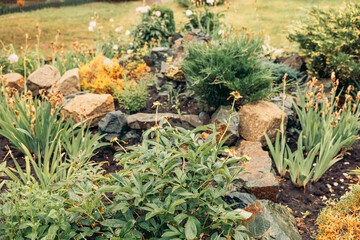 decorative landscape featuring various plants and rocks. The scene includes green foliage, yellow flowers, and natural stones arranged artistically.