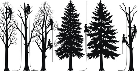 Silhouettes of arborists climbing and cutting trees, professional tree trimming, forest maintenance, landscape care, environmental conservation, vector illustration
