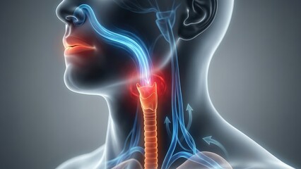 An abstract airway airflow illustration with throat restriction highlight explaining sleep apnea breathing dynamics
