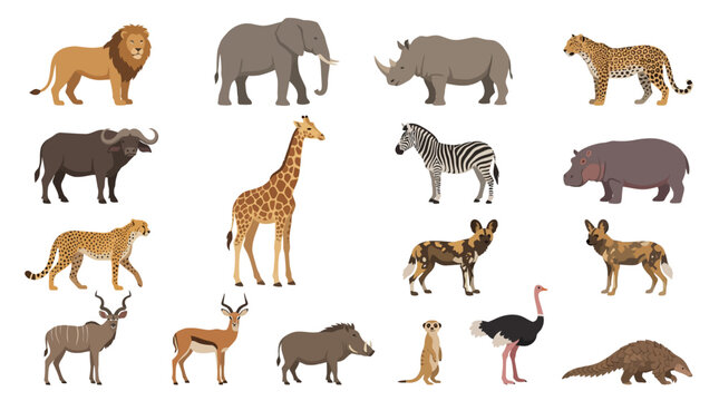 Collection of Various Wild Animals in Cartoon Style.
