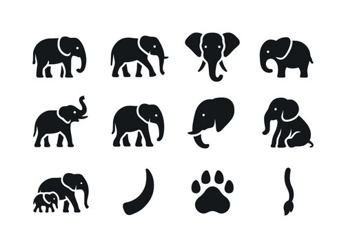Elephant Icon Collection. Elephants. Solid icon set of Elephants: elephant standing, elephant walking, elephant head, baby elephant, elephant with raised