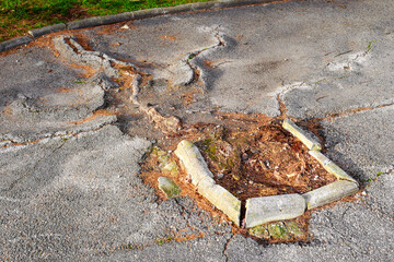 Exposed remnants of removed tree in public park with cut roots emerging from beneath worn fractured asphalt surface