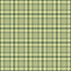 Indian check pattern fabric, sketching background plaid tartan. Teenage texture seamless textile vector in pastel and light colors.