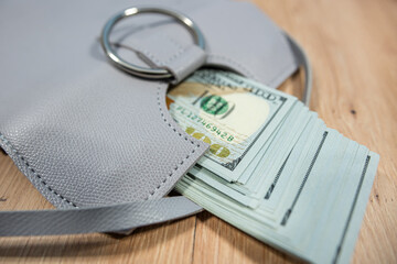 Grey purse with US dollar bills symbol of wealth and savings