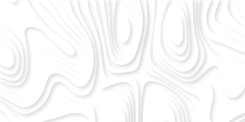 Pattern with lines the stylized height of the topographic map contour in lines and contours isolated on layers. White topography curve lines map isolated on white background. © armans