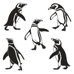 Obraz premium Five penguins illustration