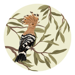 A decorative circular composition featuring a hoopoe perched on olive branches. Realistic vector organic geometry with an animal and a plant. © AnnstasAg
