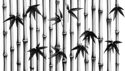 Black and white bamboo stalks with dark leaves
