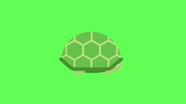 Cute green turtle walking  with honeycomb shell