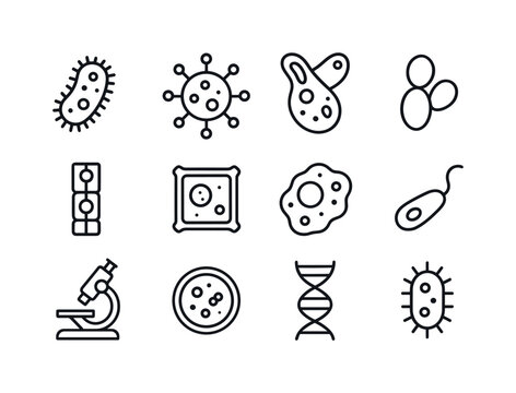 Microscopic Life Icons. Microscopic Life. Line icon set of Microscopic Life: bacteria, virus, protozoa, yeast, algae, cell wall, nucleus, flagella, microscope,