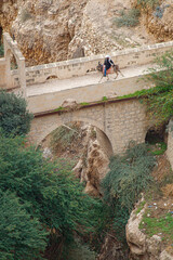 a man riding a donkey on a bridge