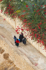family walking to the monastery