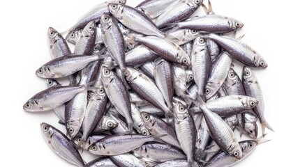 Obraz premium A close-up view of a fresh pile of small silver fish, isolated for culinary use