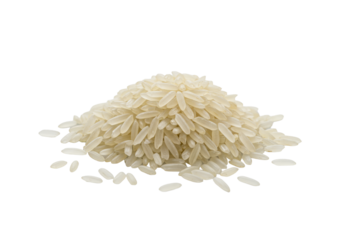 A macro shot of raw, uncooked long-grain white rice grains, off-white and textured, meticulously arranged on a transparent background with copy space, concept of wholesome food