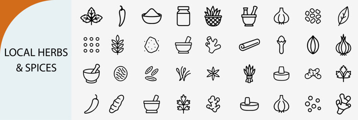 local herbs and aromatic spices outline icons, organic seasoning vector © rayzign