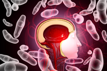 Bacterial Infection in the Human Head, Neuroscience & Disease concept. 3d illustration
