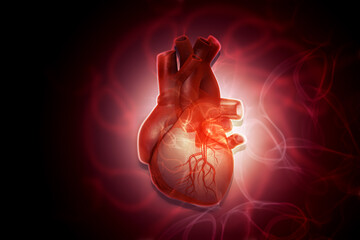 Human heart anatomy on futuristic scientific background. Health & Cardiology Concept. 3d illustration