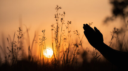 Silhouettes of outstretched hands against a golden sunset over tall grasses.