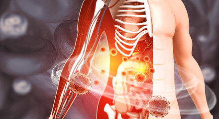 Human Digestive System Infected by Virus and Bacteria. Gastrointestinal Tract Anatomy and Disease. 3D Illustration