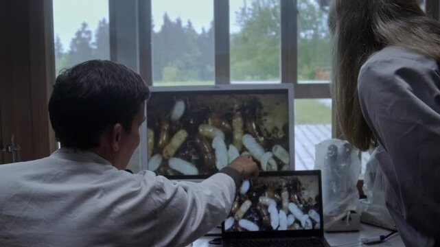 Two people look at images on a screen, pointing at various wildlife and nature shots. The setting is at Bavarian Forest National Park on a cloudy day.