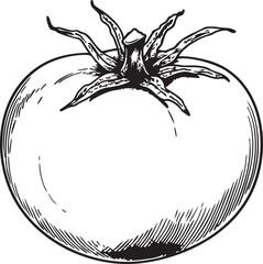 tomato drawn as a smooth black vector outline featuring round shape and simple leaf crown