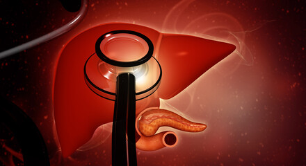 Human Liver with Stethoscope. 3D conceptual illustration of liver health checkup, diagnosis of hepatic diseases, or organ monitoring.