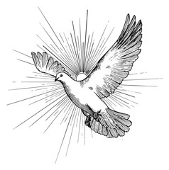 Obraz premium Hand drawn line art illustration of a dove depicting peaceful flight with sun rays for spiritual concepts