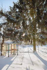 Tranquil winter countryside scene with a swing in the garden on a sunny day.