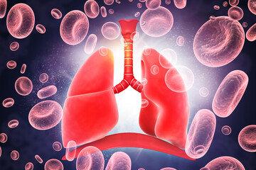 Human Lungs Anatomy on a Red Blood Cells Background. Conceptual 3D medical illustration of oxygen exchange, respiration, and pulmonary health.