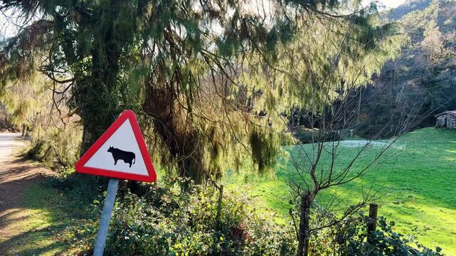Triangular animal warning sign beside green pasture in Terras de Bouro