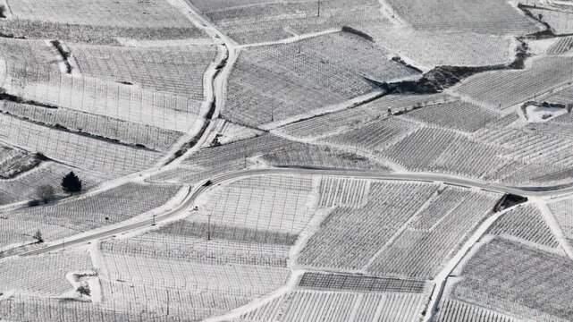 Aerial view of snow-covered vineyards, creating a striking contrast between the white fields and dark lines, Orschwiller, Grand Est, France.