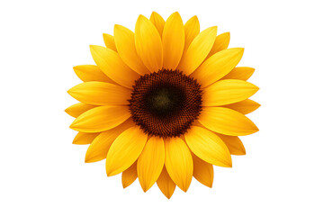 Fototapeta premium Vibrant yellow sunflower head with dark center, isolated on a transparent background, depicting summer growth and natural beauty