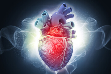 Detailed Human Heart Anatomy on an Abstract Digital Medical Background. 3D illustration of cardiovascular health, data analysis, and advanced cardiology technology.