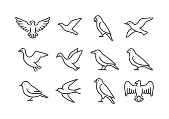 Fototapeta premium Line Art Flying Animals. Flying Animals. Line icon set of Flying Animals: eagle wing spread, soaring bird, parrot, seagull, goose, swan, raven, pigeon,