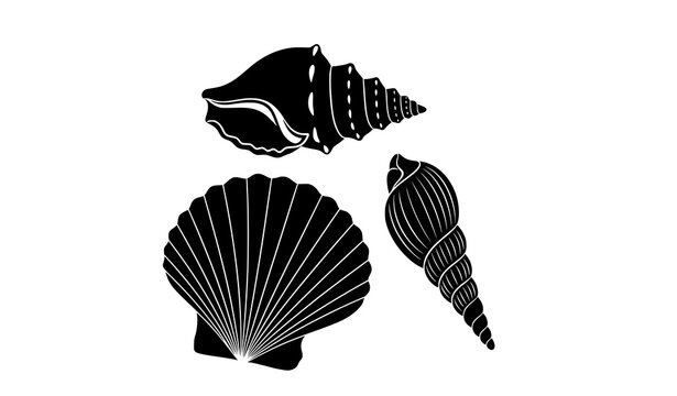 Elegant sea shell black silhouette vector illustration set isolated on white background