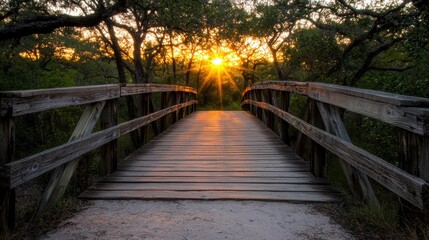Obraz premium A wooden bridge with railings leads to a sunlit path through a wooded area.