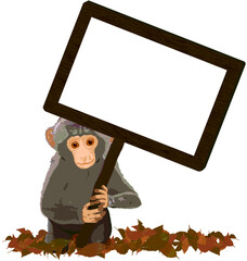 Baby monkey with a message board