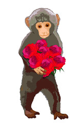 Baby Monkey holding Rose bouquet