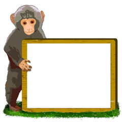 Baby monkey with a message board