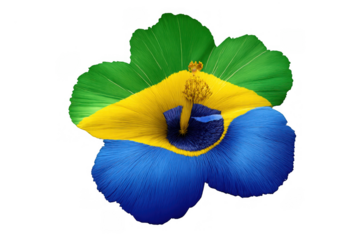 Hibiscus flower petals forming brazil flag colors representing national identity, culture, and nature on transparent background