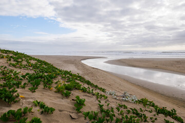 A river flows out into the ocean 