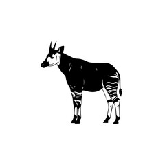 Obraz premium A striking black and white illustration of an okapi, a shy forest-dwelling mammal native to the northeast Democratic Republic of the Congo in Central Africa.