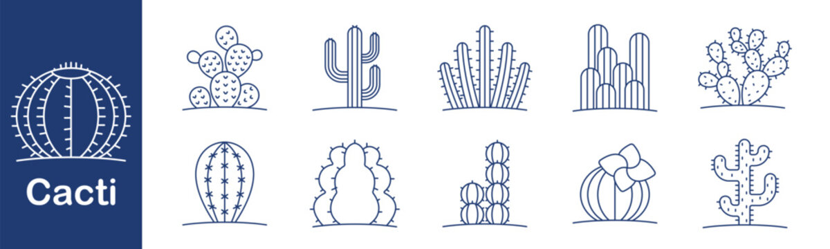 Cactus set icon. Collection of desert-style cactus illustrations with various shapes including round, tall, flat, segmented, flowered, and multi-armed silhouettes in line style